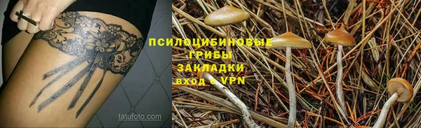 стаф Армянск
