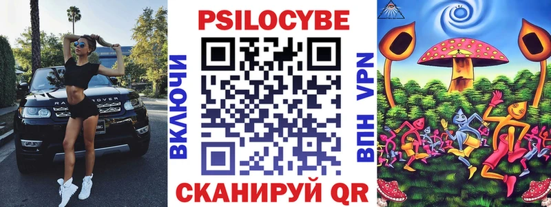 Купить  Пустошка  Галлюциногенные грибы Psilocybe 